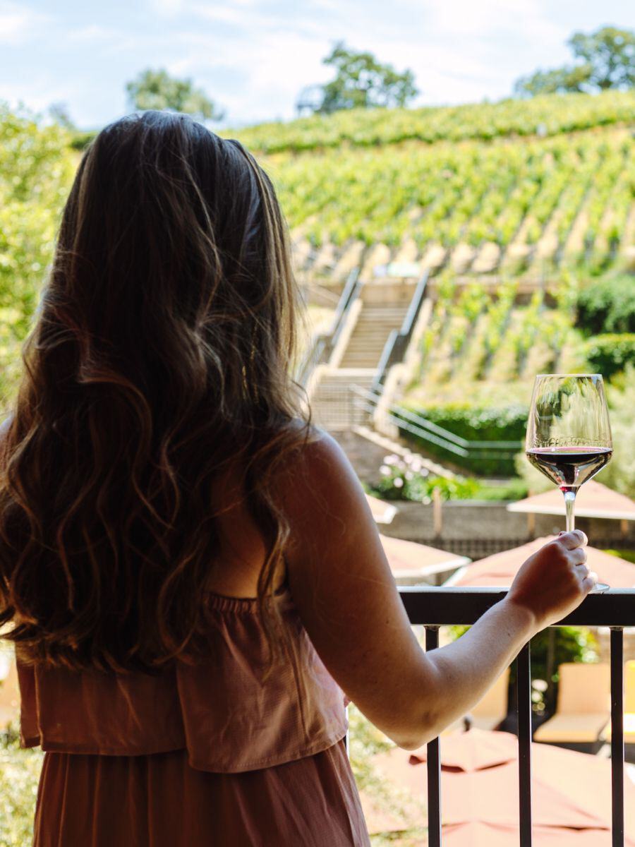 Sunshine Among the Vines